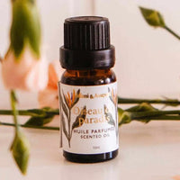 Mimi & August Ethically Sourced Premium Scented Oil | Oiseau Du Paradis
