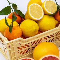 OLOR Exceptional Mini Reed Diffuser | Ruby Grapefruit