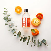 Soak Wash Gentle, Eco-friendly, No-Rinse Laundry Soak | Large 375ml