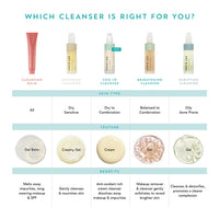 Indie Lee Purifying Face Wash