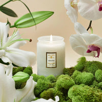 Voluspa Japonica Small Jar + Lid Candle {50hr}