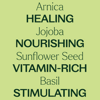 Plant Therapy Nerve Body Oil with Arnica (4oz)