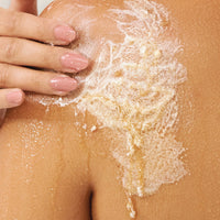 Lalicious Sugar Scrub 2oz Mini { Core Collection }