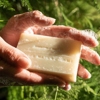 Juniper Ridge Cold-Processed Luxury Bar Soap