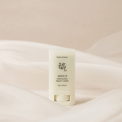 Beauty of Joseon Matte Sun Stick:Mugwort+Camelia SPF50