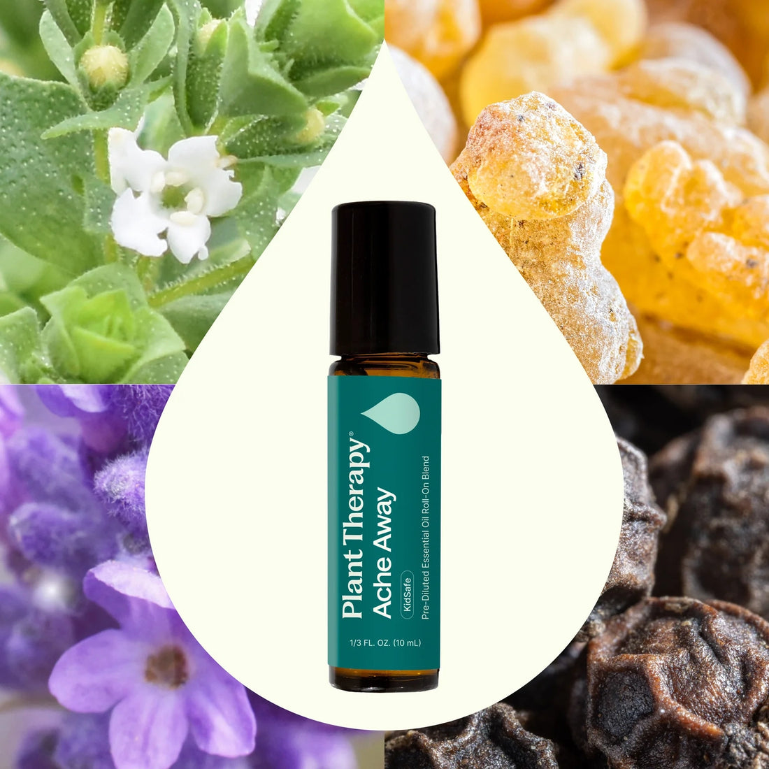 Plant Therapy On-the-Go Roll-On: Ache Away