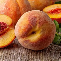 Milk & Meadow Goat Milk Lip Balm