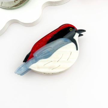 Brio & Tress Sky Collection: Red Capped Robin