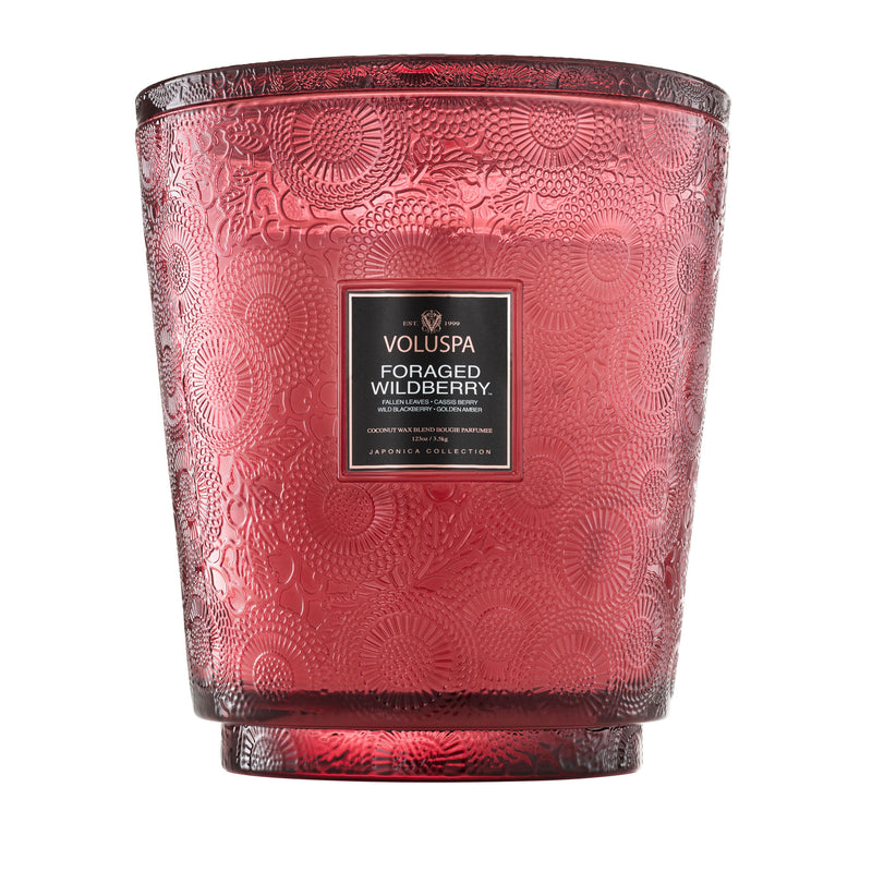 Voluspa Japonica 5-Wick Hearth Candle 250hr