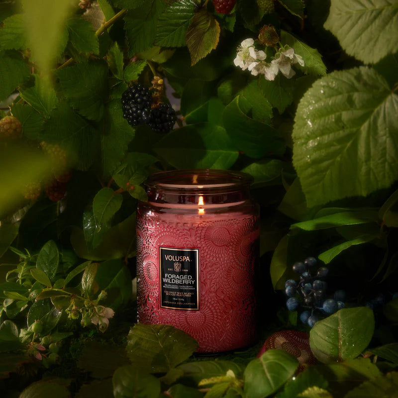 Voluspa Japonica Large Jar + Lid Candle {100hr}