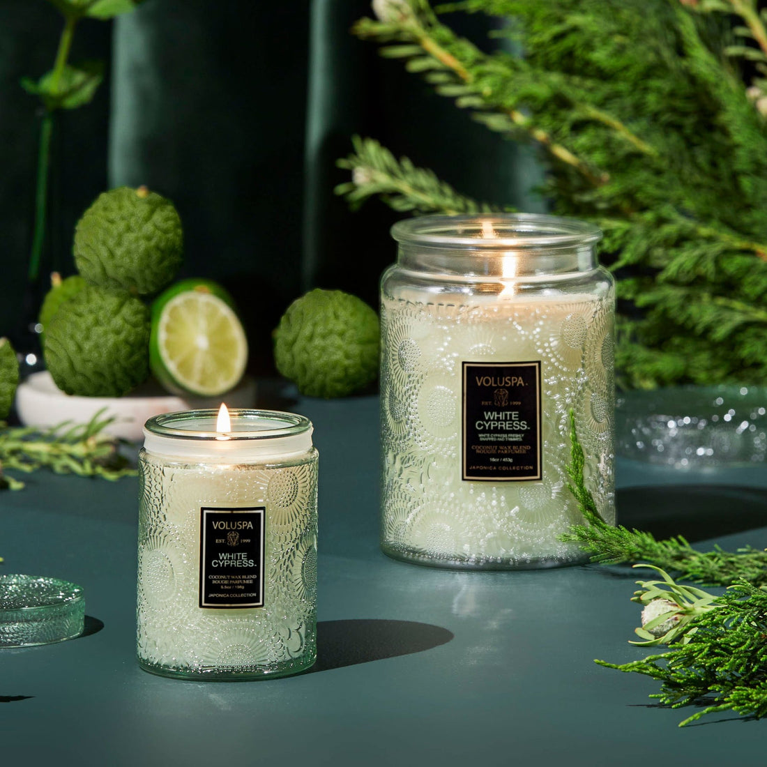 Voluspa Seasonal Small Jar + Lid Candle {50hr}