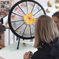 PLOT TWIST SPIN-THE-WHEEL GIVEAWAYS