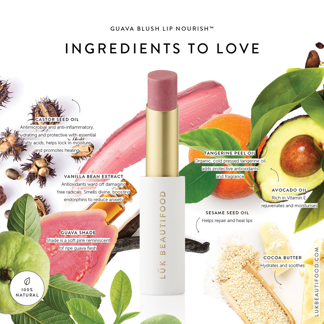 Luk Beautifood Lip Nourish Sheer Lipstick