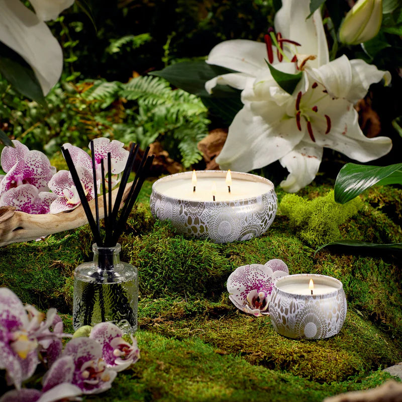 Voluspa Japonica Mini Tin Candle {25hr}