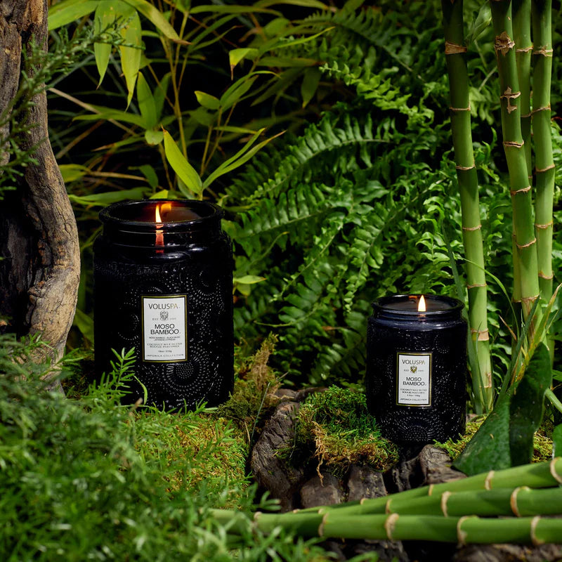 Voluspa Japonica Small Jar + Lid Candle {50hr}