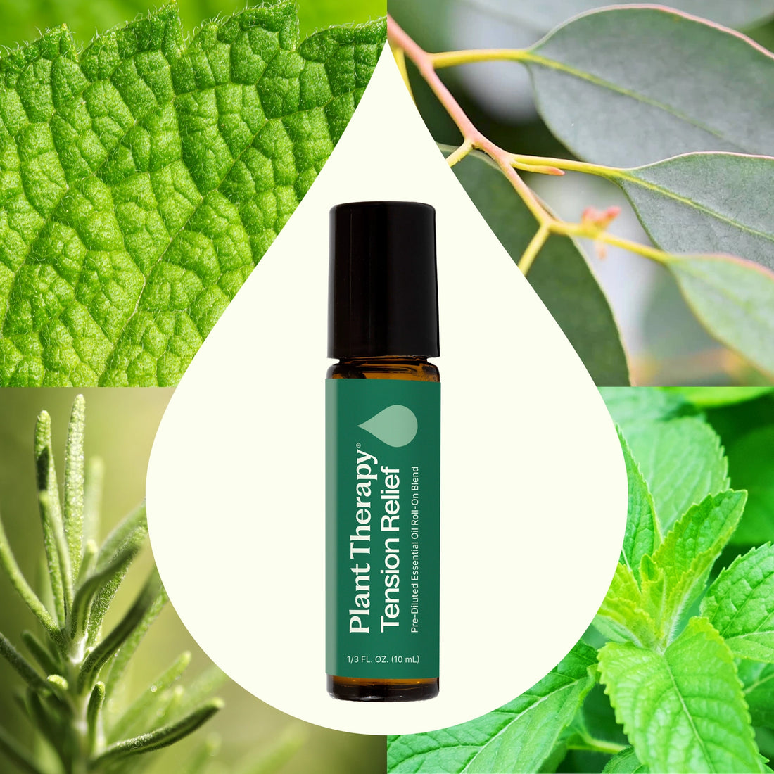 Plant Therapy On-the-Go Roll-On: Tension Relief