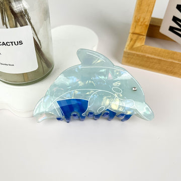 Brio & Tress Sea Collection: Bottlenose Dolphin