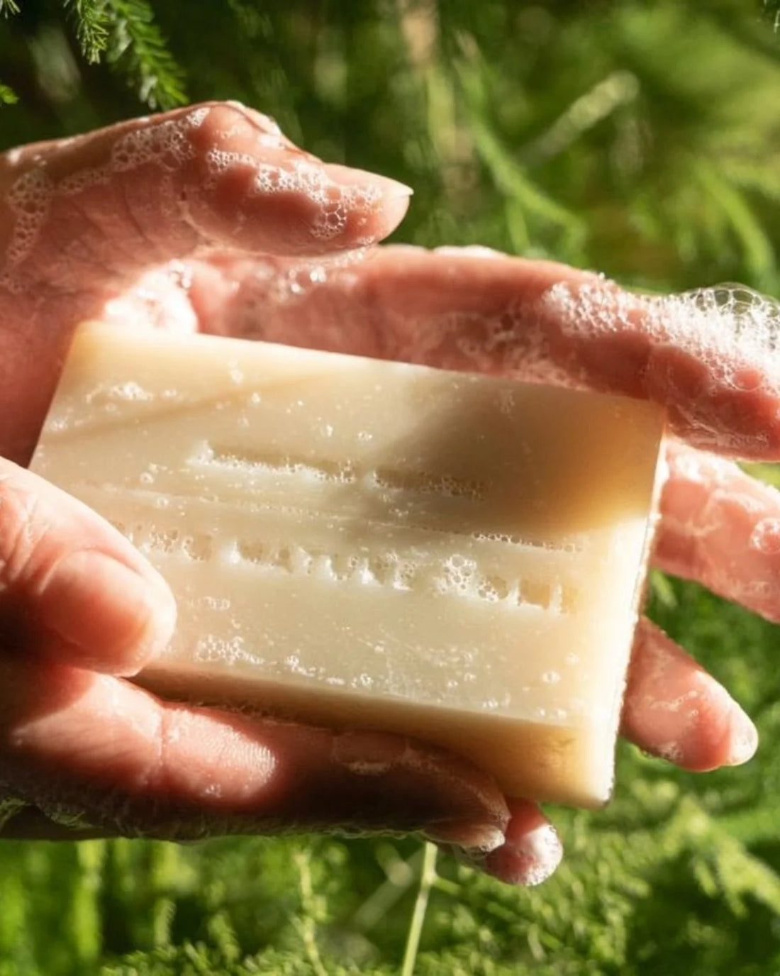 Juniper Ridge Cold-Processed Luxury Bar Soap