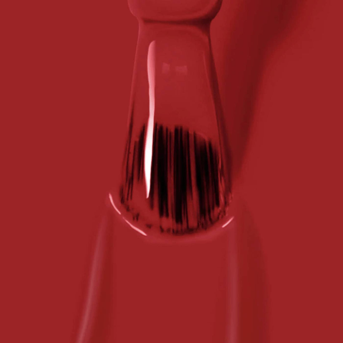 Londontown Lakur Polish | LUX Collection { Spring 2026 }