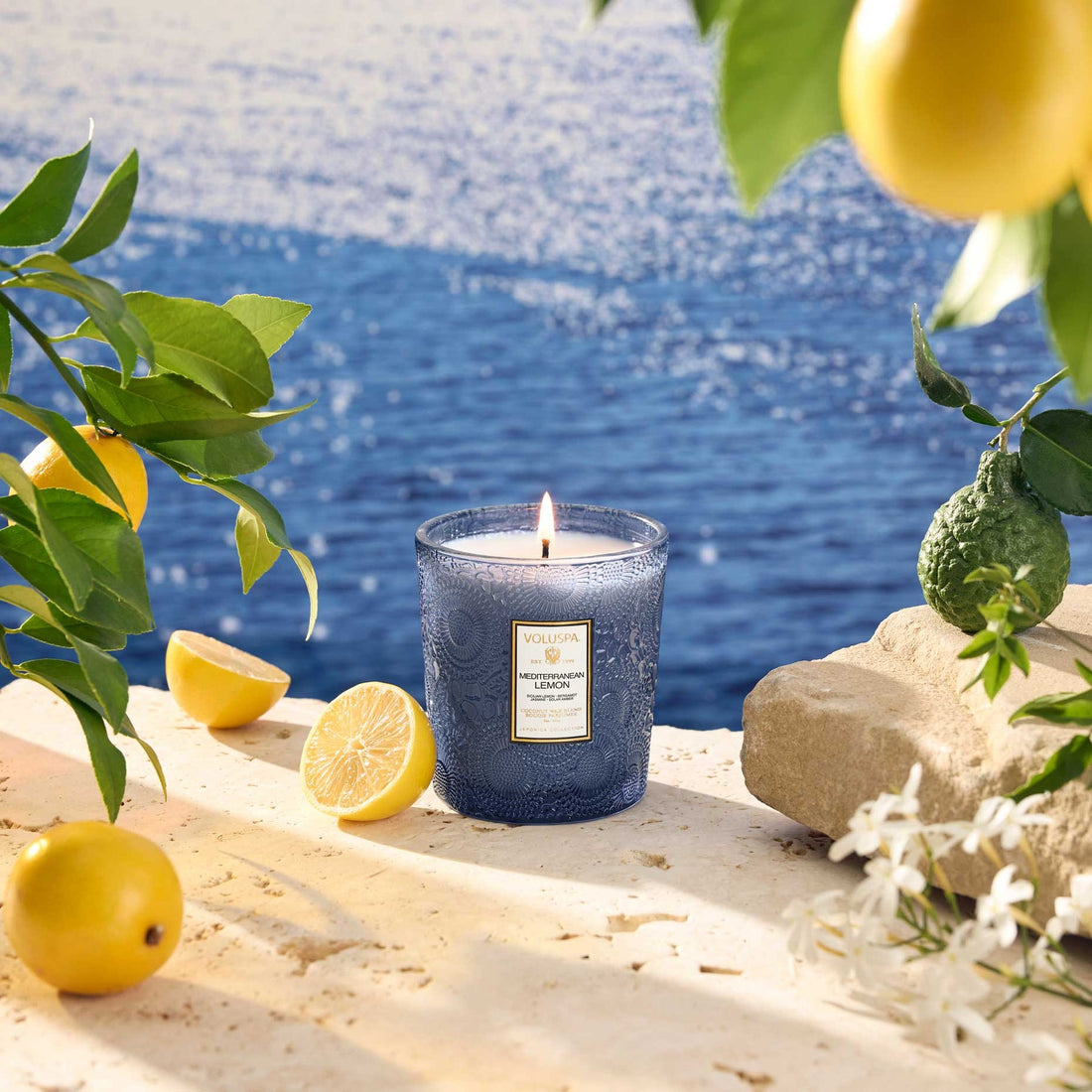 Voluspa Japonica Boxed Classic Candle {60hr}