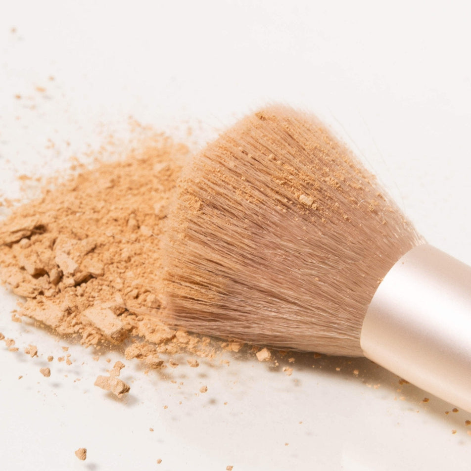 Charlotte Bio Vegan-Certified Brush: Powder (01)